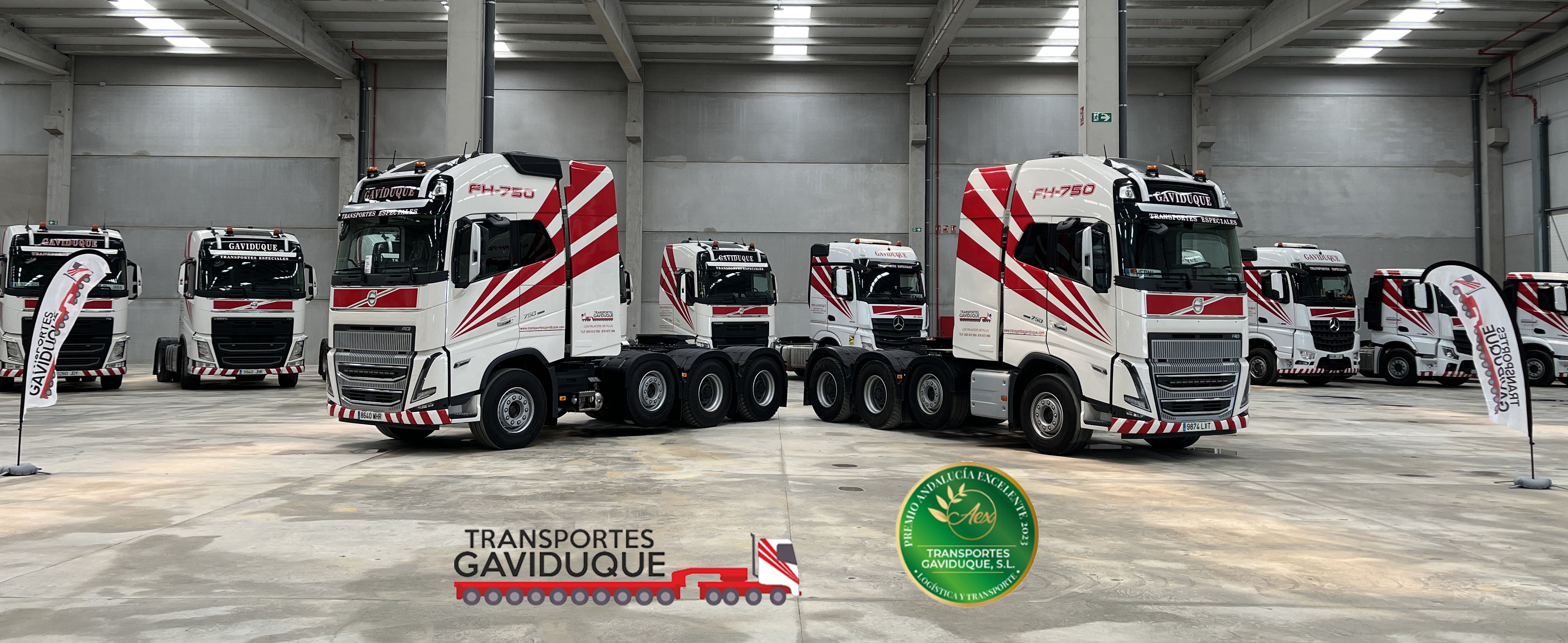 www.transportesgaviduque.com